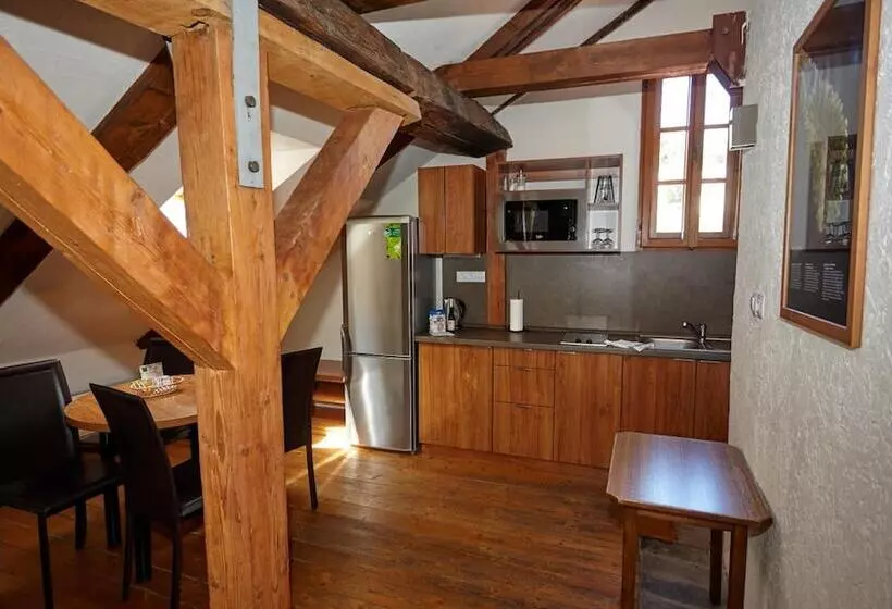 Fotos del hotel Residence Muzeum Vltavinu:  4