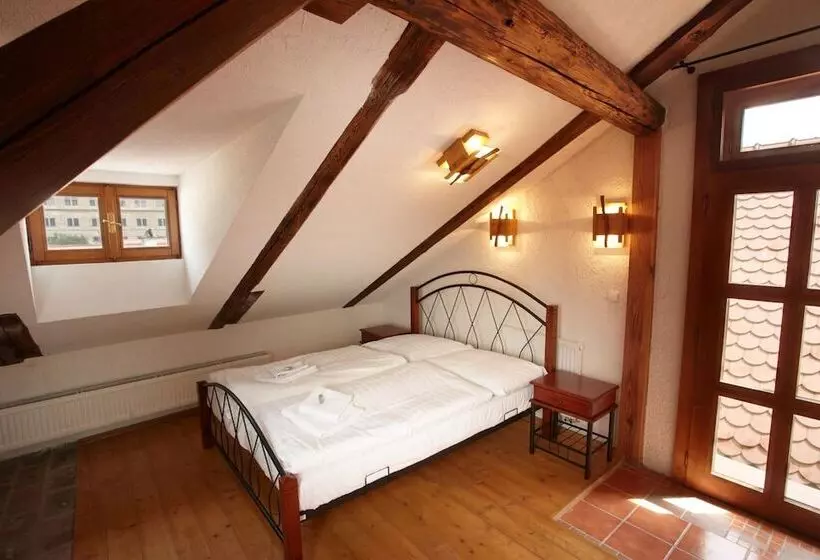 Fotos del hotel Residence Muzeum Vltavinu:  2