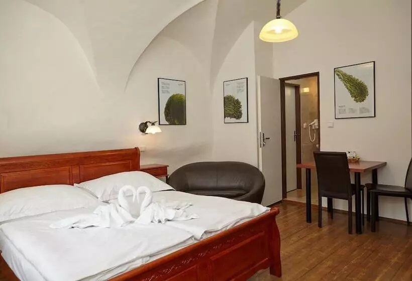 Fotos del hotel Residence Muzeum Vltavinu:  13