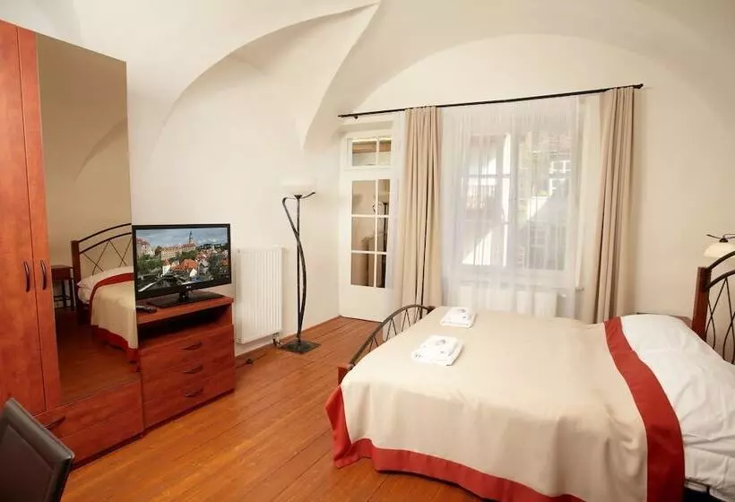 Fotos del hotel Residence Muzeum Vltavinu:  6