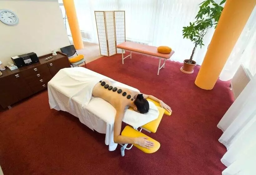 Fotos del hotel Spa & Wellness  St. Moritz:  9