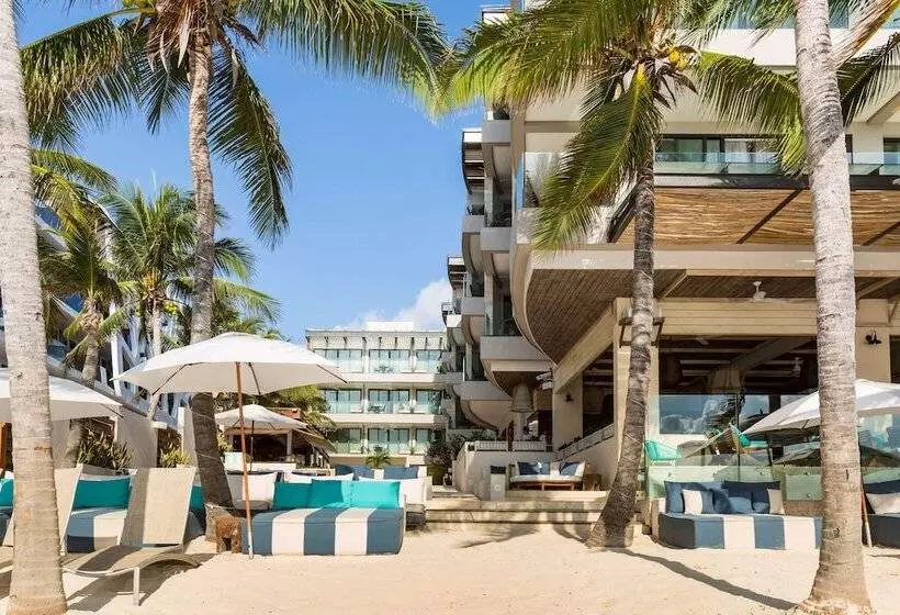 Fotos del hotel Thompson Beach House:  21