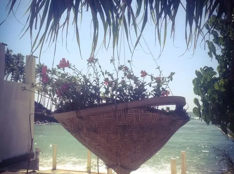 Fotos del hotel Mirissa Seastar:  7