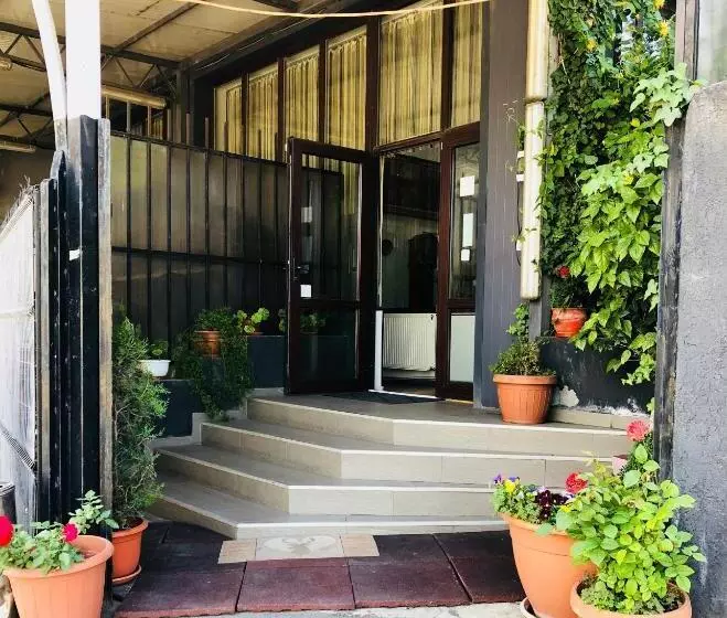 Fotos del hotel Taco:  8