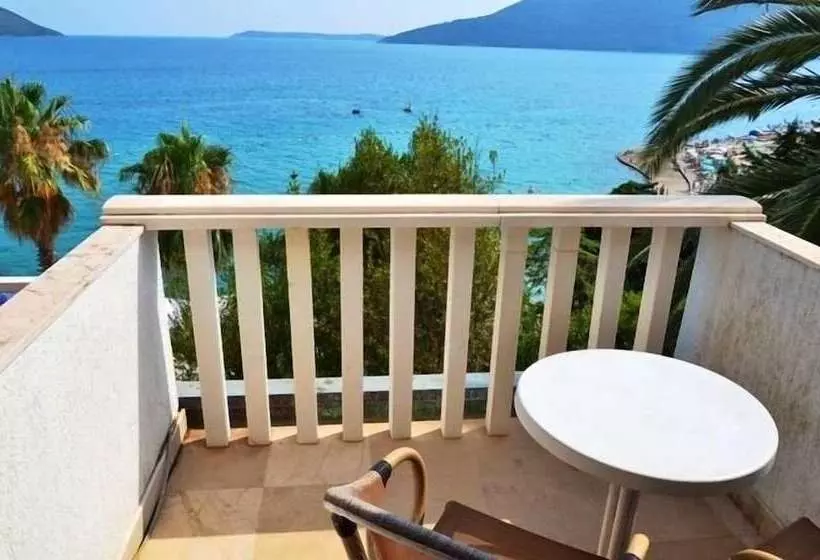 Fotos del hotel Garni Hotel Vila Aleksandar:  19