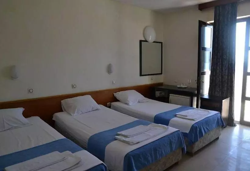 Fotos del hotel Garni Hotel Vila Aleksandar:  3