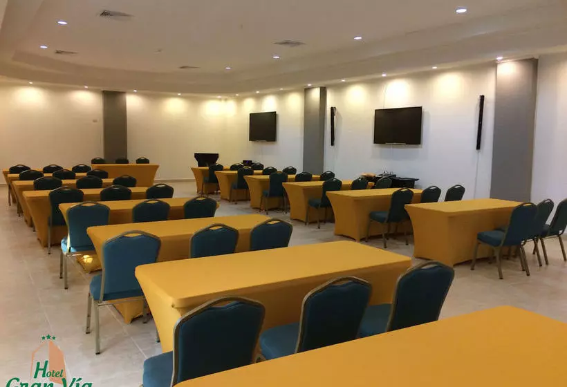 Fotos del hotel Gran Via:  11