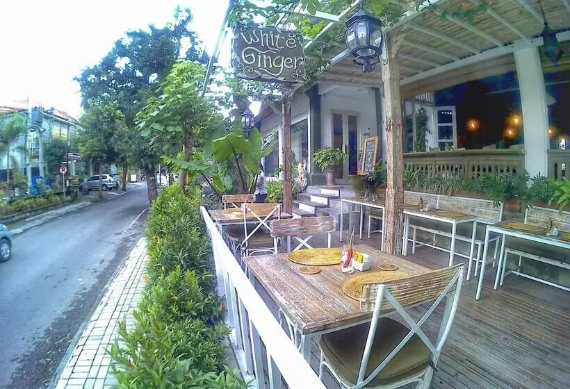 Fotos del hotel Sapodilla Ubud:  4