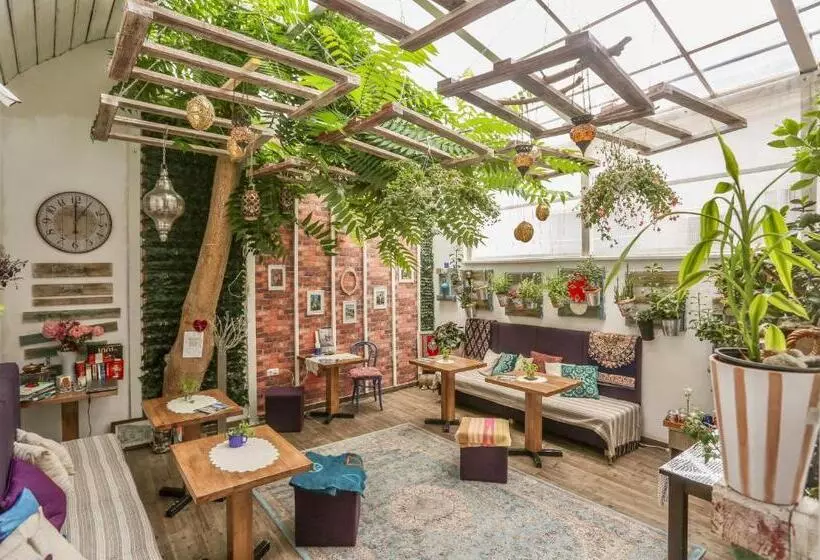 Fotos del hotel Eshe Boutique:  11