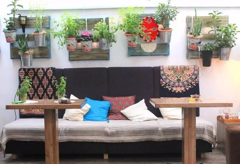 Fotos del hotel Eshe Boutique:  4