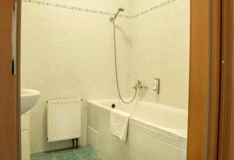 Fotos del hotel Pension Hattrick:  7