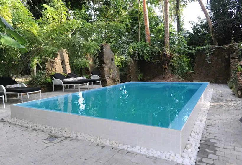 Fotos del hotel Villa Weli:  2