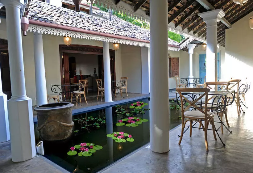 Fotos del hotel Villa Weli:  24