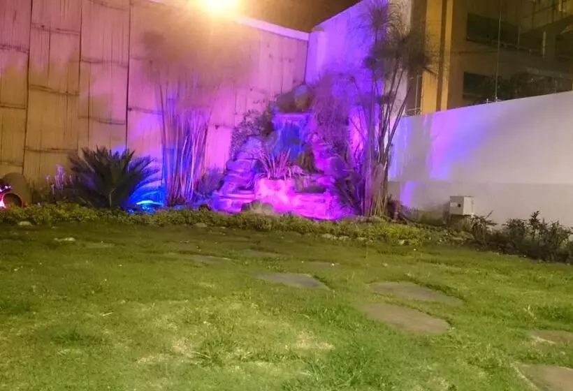 Fotos del hotel + Arte:  4