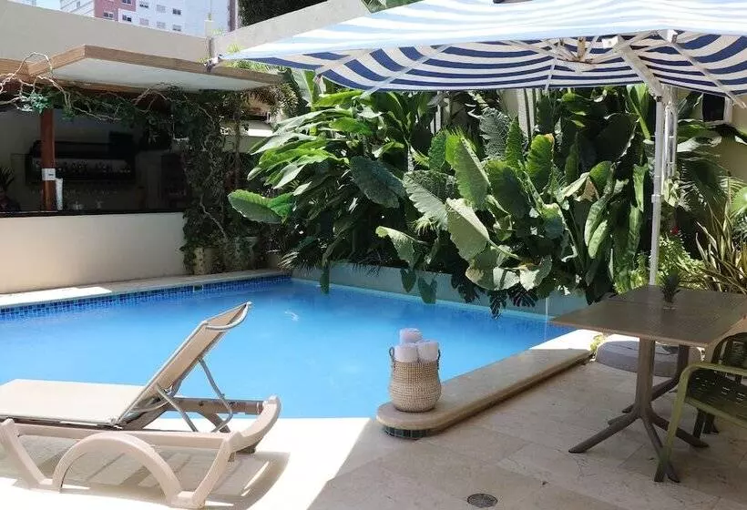 Fotos del hotel Blue Concept:  3