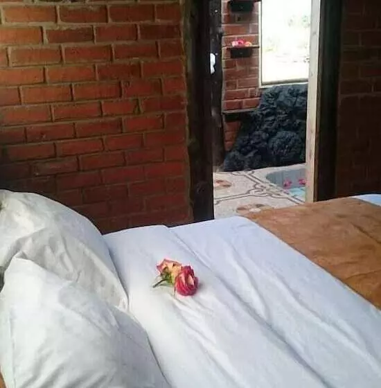 Fotos del hotel Rutun Orquídeas:  23
