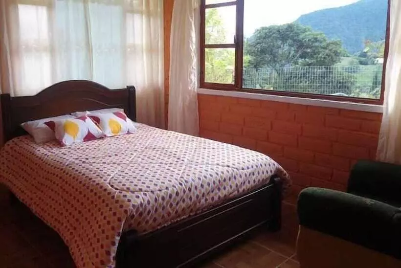 Fotos del hotel Rutun Orquídeas:  22