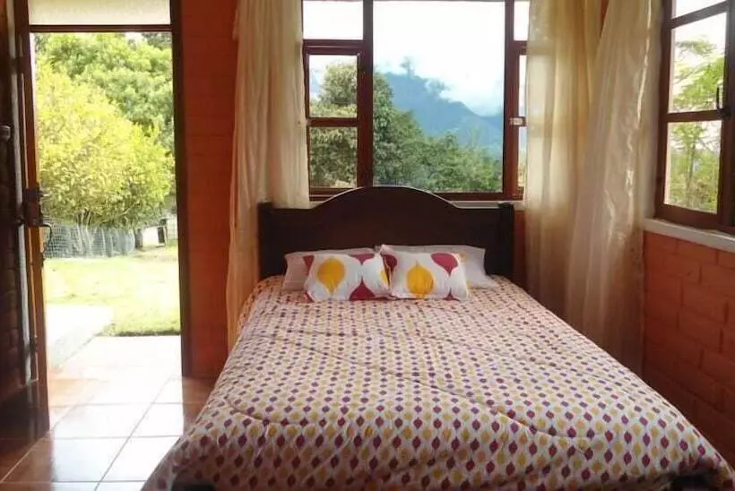 Fotos del hotel Rutun Orquídeas:  24
