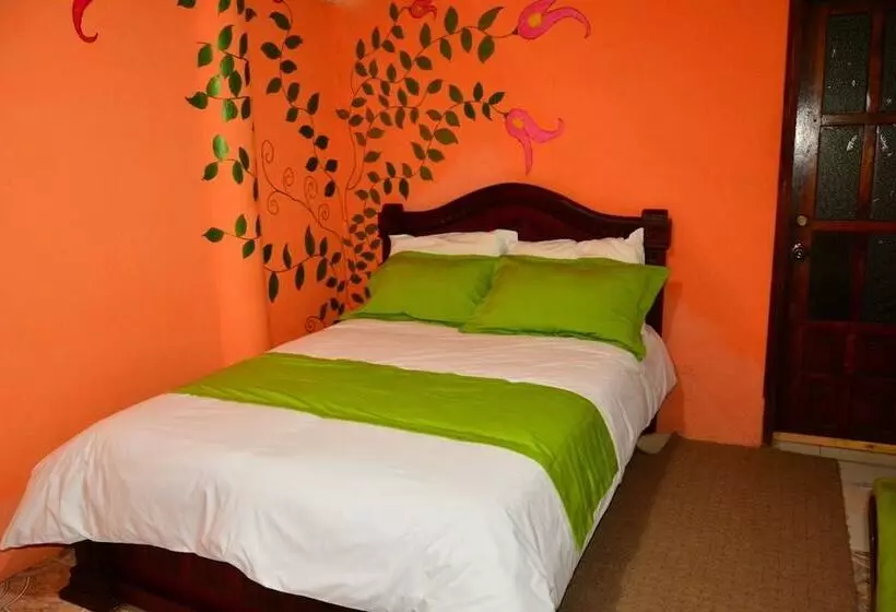 Fotos del hotel Rutun Orquídeas:  12