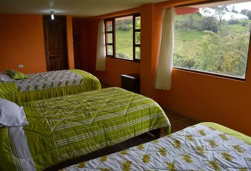 Fotos del hotel Rutun Orquídeas:  20