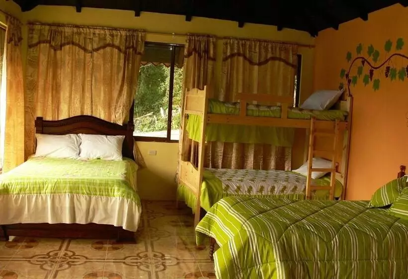 Fotos del hotel Rutun Orquídeas:  25