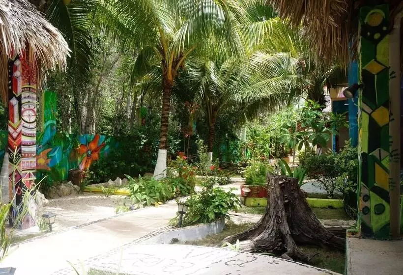 Fotos del hotel Villa Zena Liza:  16