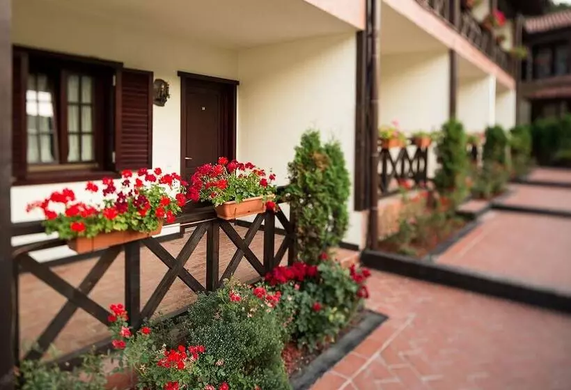 Fotos del hotel Domeniul Dâmbu Morii:  6