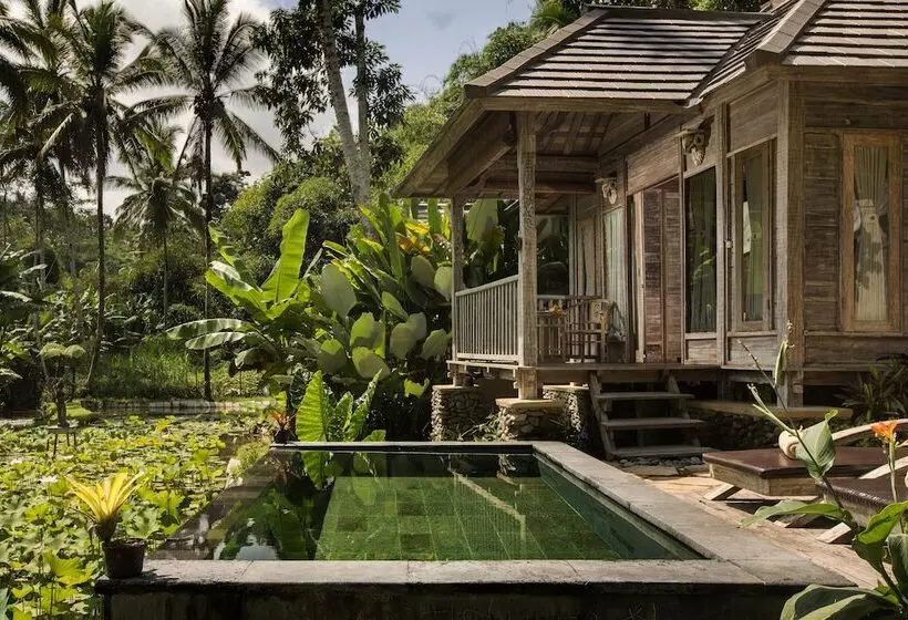 Fotos del hotel Pondok Sebatu Villa:  3