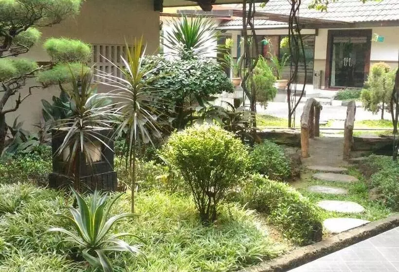 Fotos del hotel D'arcici Plumpang:  20