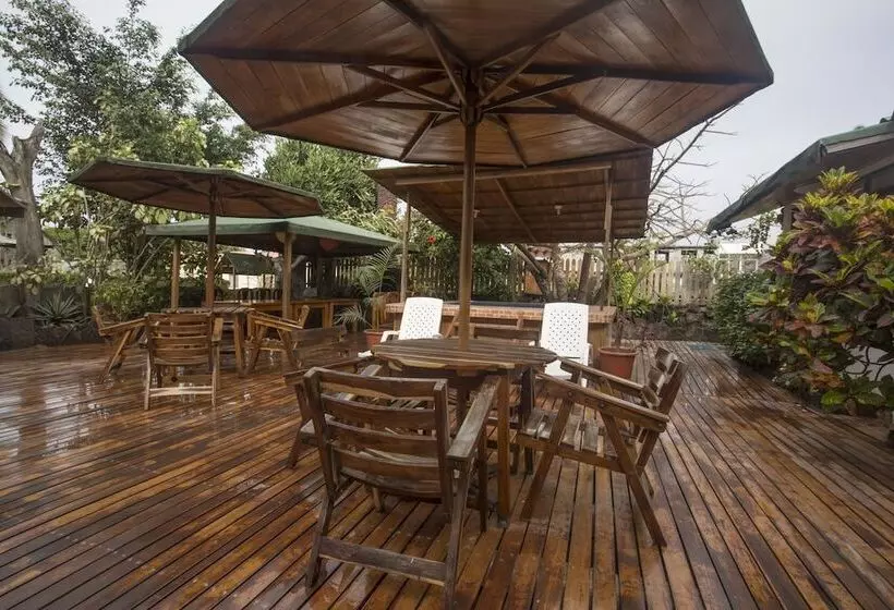 Fotos del hotel San Vicente Galapagos:  13