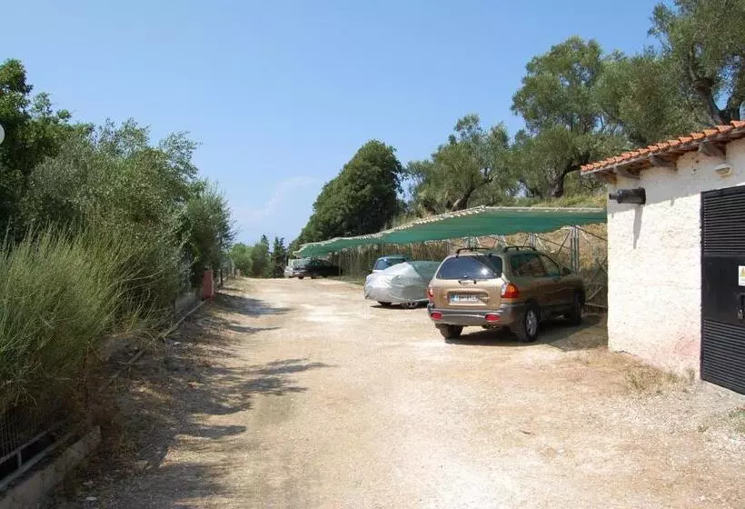 Fotos del hotel Zante Palace:  5