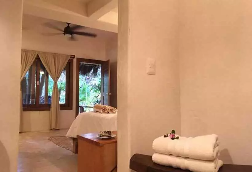 Casa Violeta