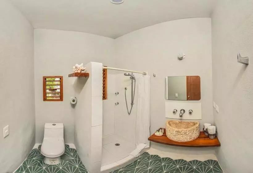 Fotos del hotel Huitzical:  11