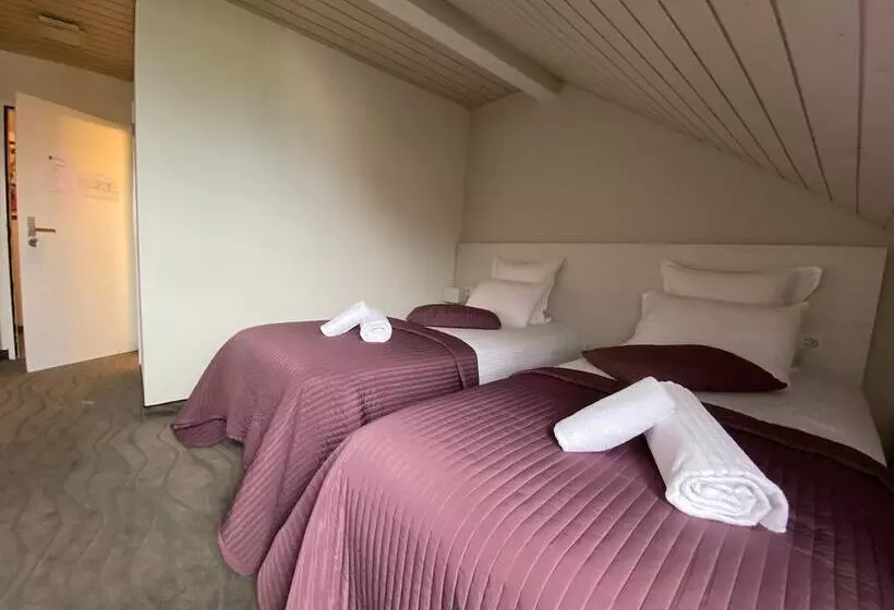 Fotos del hotel Auberge De Confignon:  17