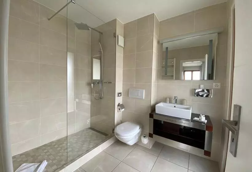 Fotos del hotel Auberge De Confignon:  9