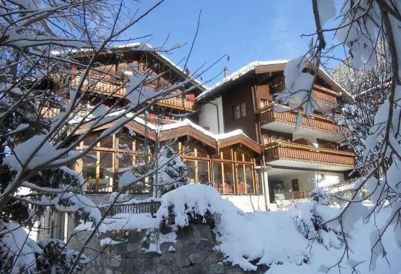 Fotos del hotel Dufour Chalet:  5