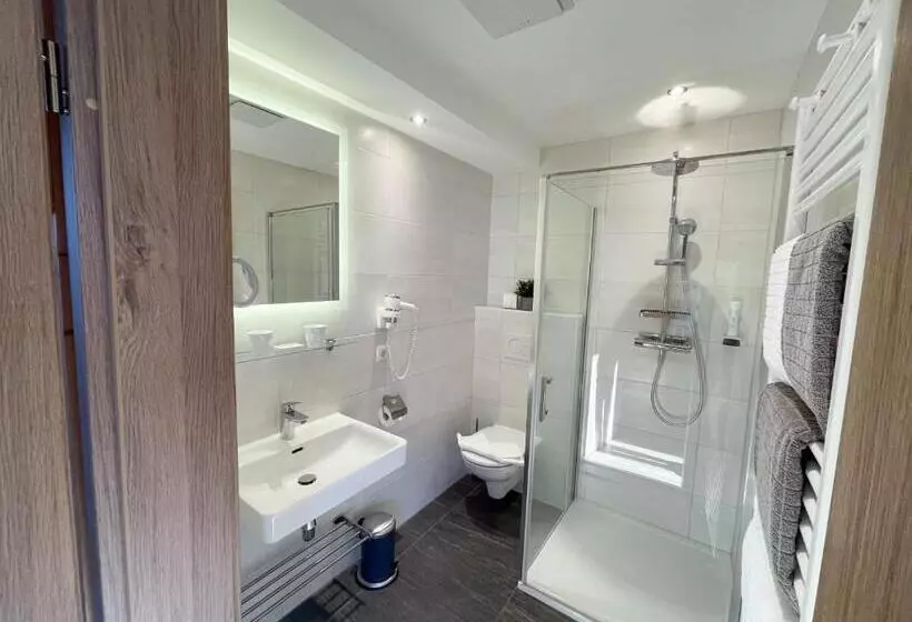Fotos del hotel Residence Metropol:  10