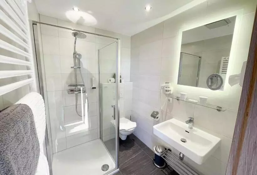 Fotos del hotel Residence Metropol:  18