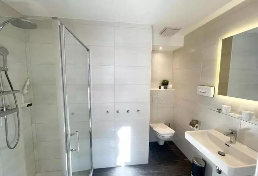 Fotos del hotel Residence Metropol:  8