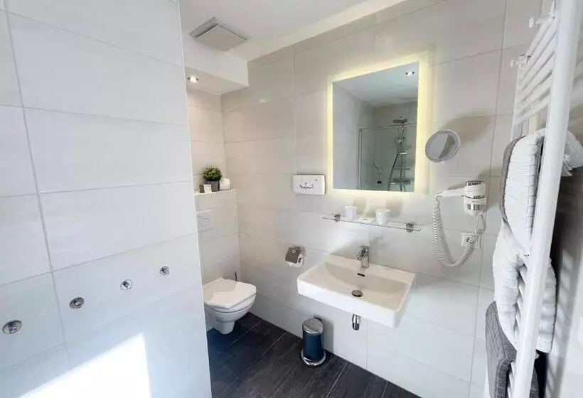 Fotos del hotel Residence Metropol:  20