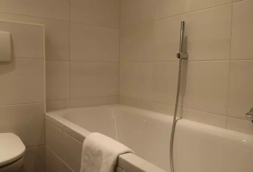 Fotos del hotel Residence Metropol:  16