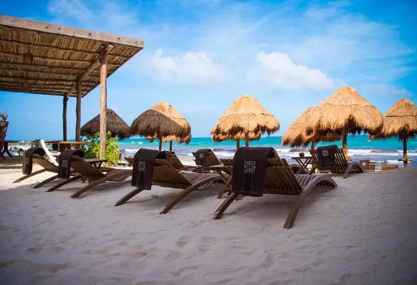 Fotos del hotel Tata Tulum  Adults Only:  13