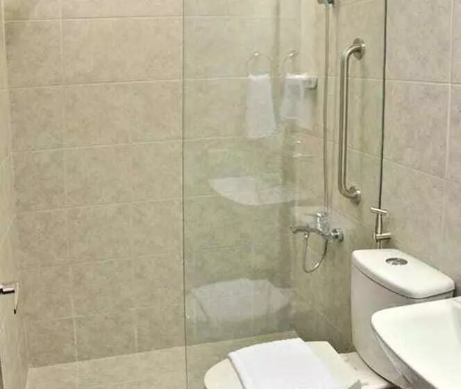Fotos del hotel Ritz Astor:  6