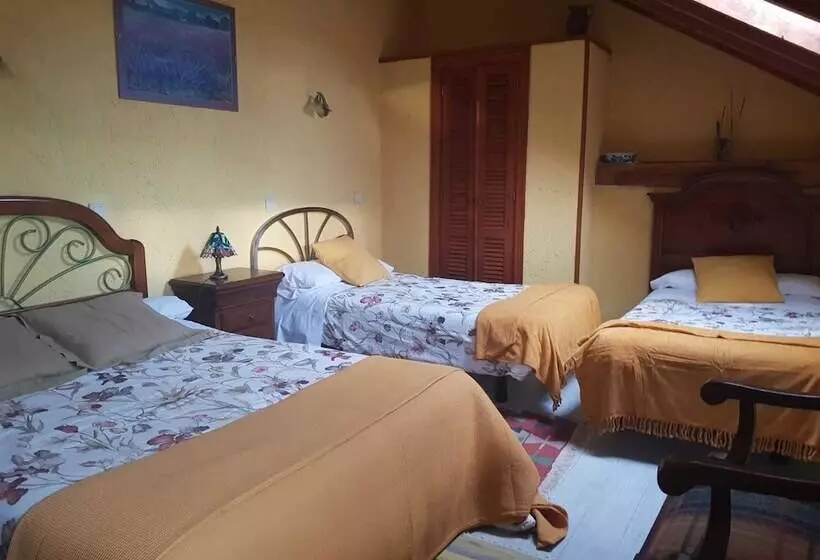 Fotos del hotel Rural Molino De Luna:  14