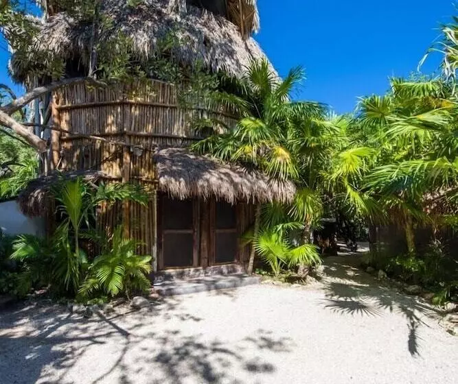 Fotos del hotel Yoga Shala Tulum:  24