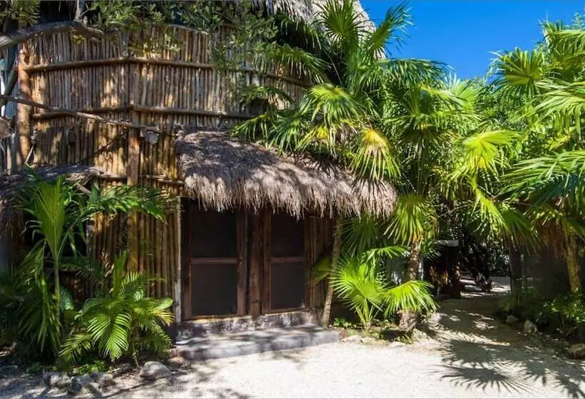 Fotos del hotel Yoga Shala Tulum:  20