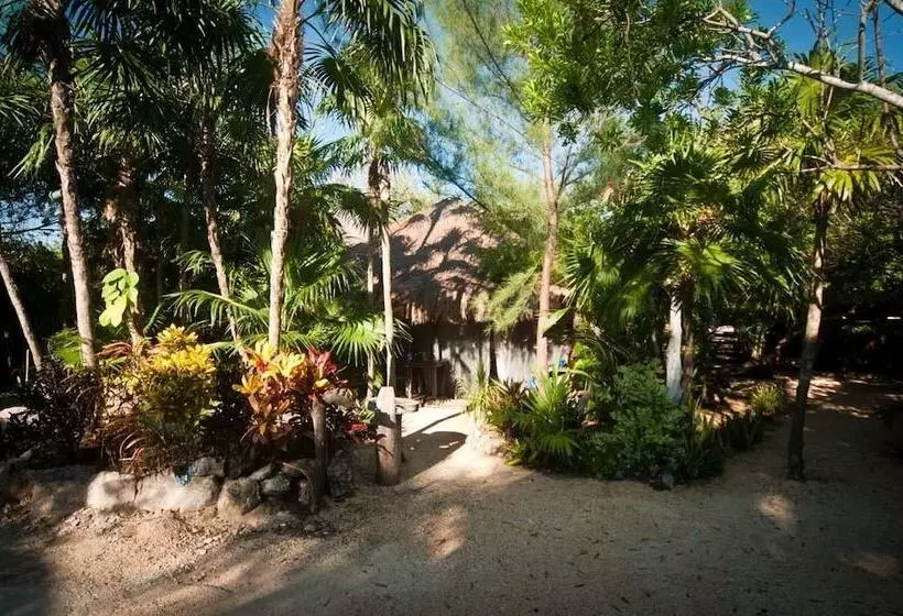 Fotos del hotel Yoga Shala Tulum:  7