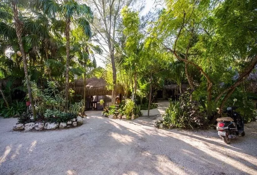 Fotos del hotel Yoga Shala Tulum:  16