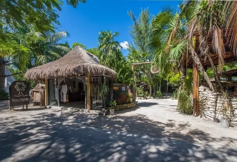 Fotos del hotel Yoga Shala Tulum:  19
