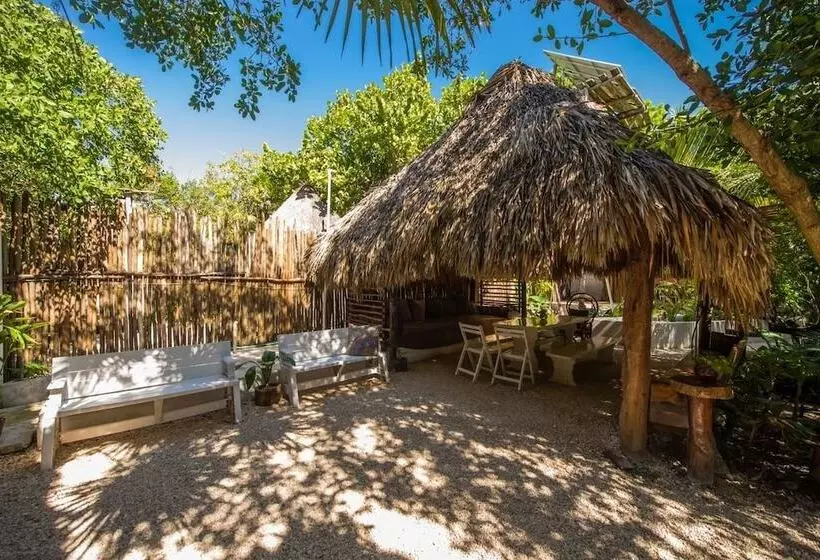 Fotos del hotel Yoga Shala Tulum:  23